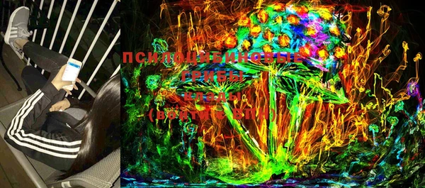 стафф Алексеевка