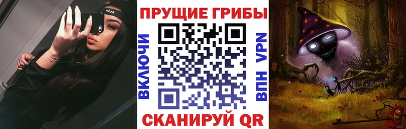 магазин Чухлома Галлюциногенные грибы Psilocybine cubensis